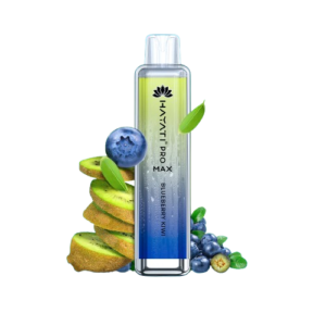 Hayati Pro Max 4000 – Blueberry Kiwi